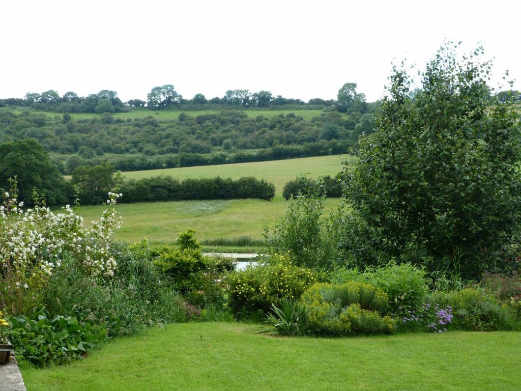 Cameley Lodge - Self Catering Temple Cloud Экстерьер фото